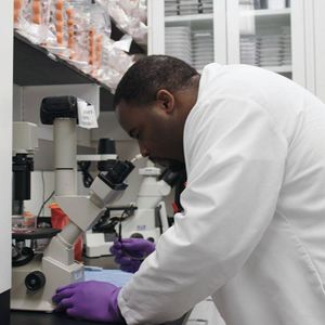 Researcher looks through microscope.